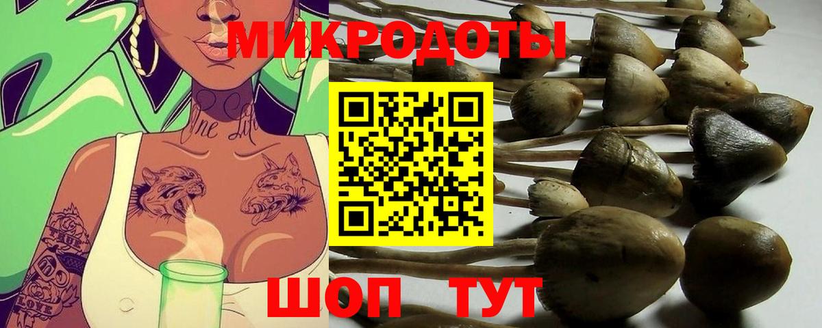 Реутов  Галлюциногенные грибы MAGIC MUSHROOMS  Вход с VPN 