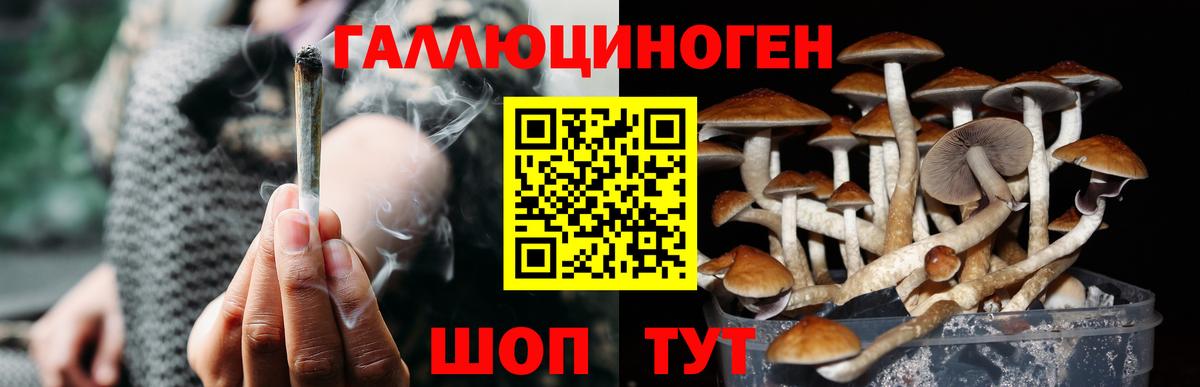 Галлюциногенные грибы прущие грибы Реутов