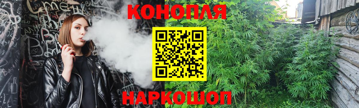 Бошки Шишки Amnesia Реутов